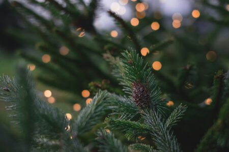 freestocks Q1N9vX2Sp1g unsplash
